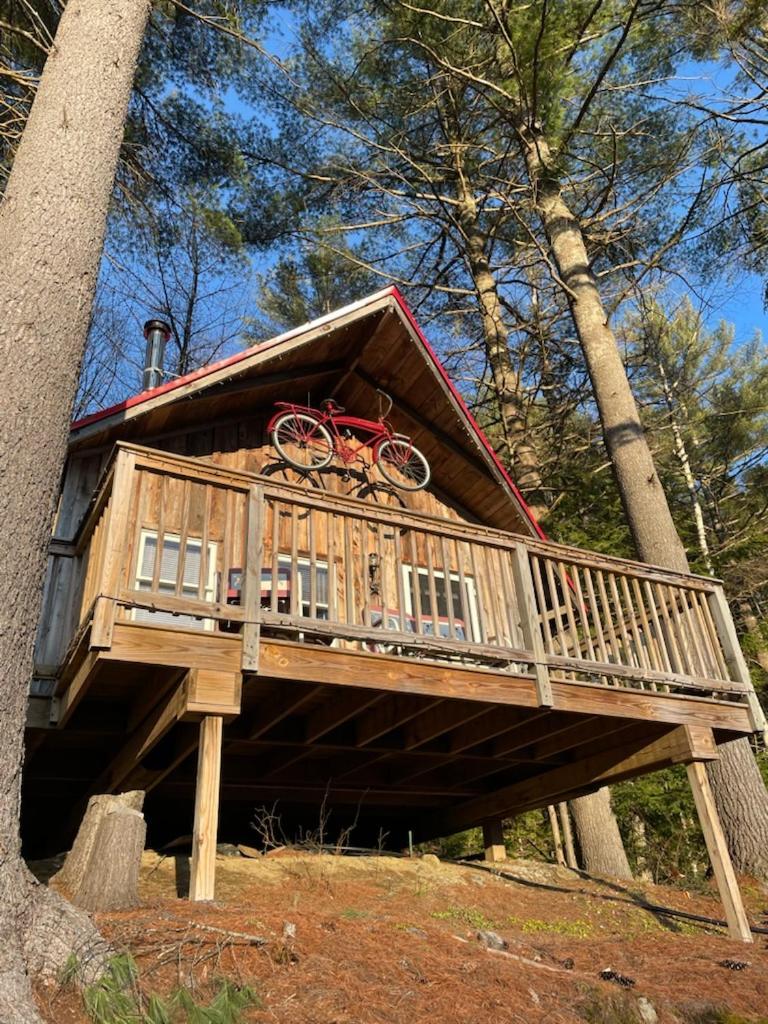 Grunberg Haus Inn & Cabins Waterbury Esterno foto